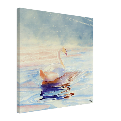 Grace in Stillness Swan Canvas Print