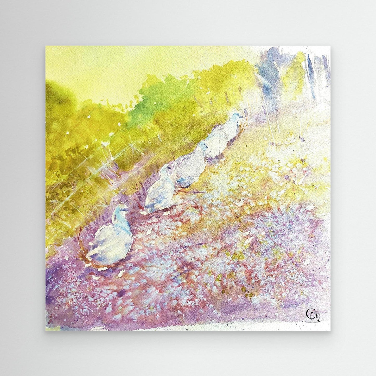 Waddle On: Square Edit