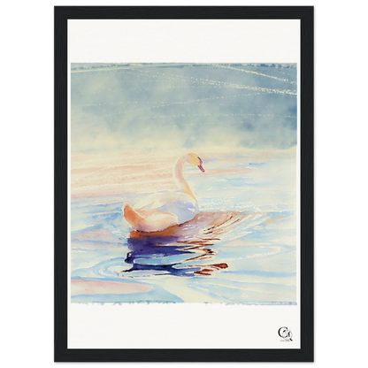 Grace in Stillness Swan Art Print