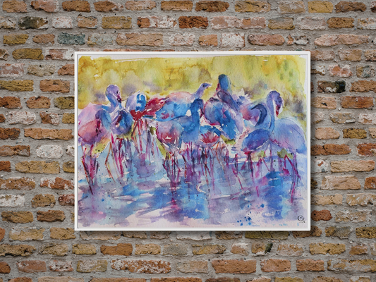 Curious Balance: Canvas Print