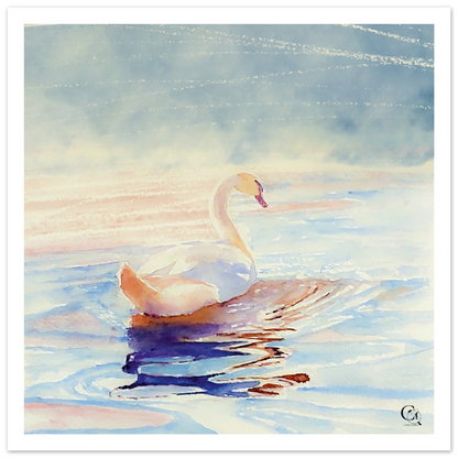 Grace in Stillness Swan Canvas Print
