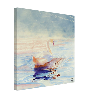 Grace in Stillness Swan Canvas Print