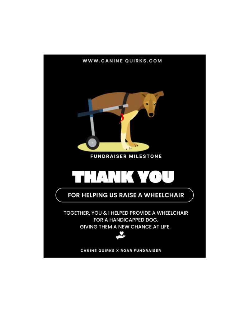 Thank you message for a fundraiser milestone to provide a wheelchair for a handicapped dog, with a cartoon dog and wheelchair on a black background.