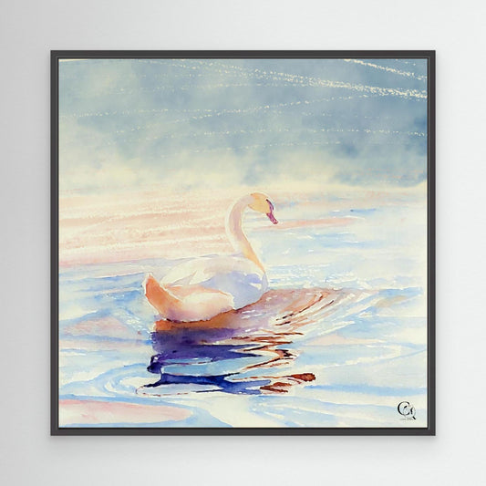 Light In Motion: Square Edit.