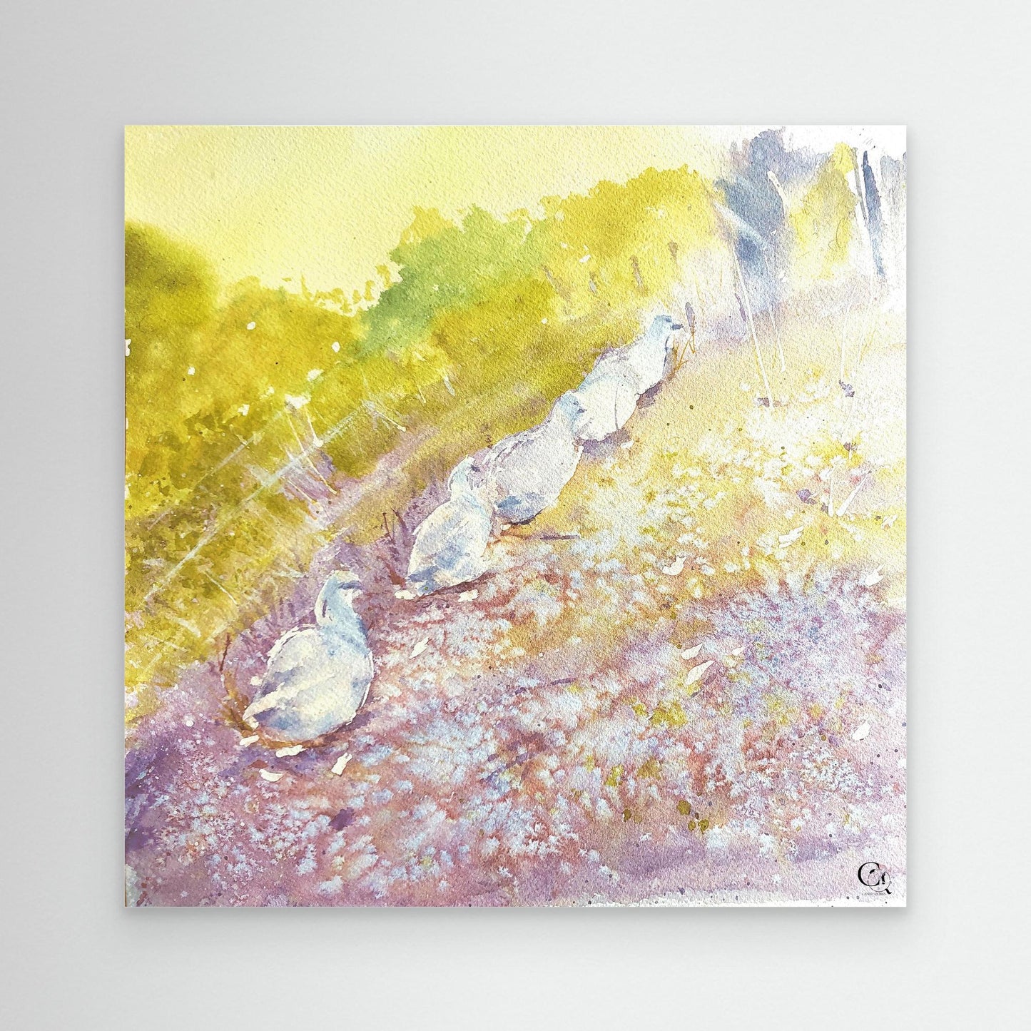 Waddle On: Square Edit