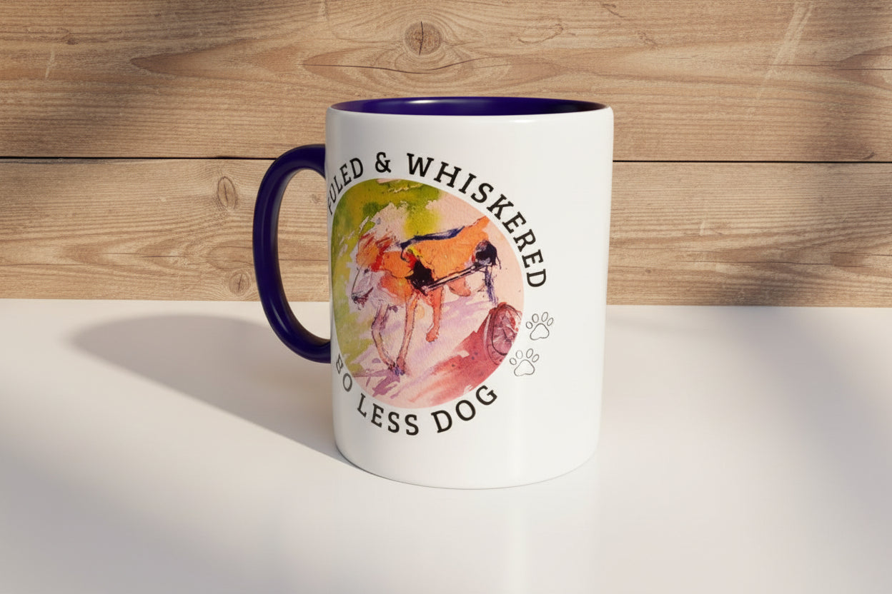 Rudra x ROAR 11Oz Color Coffee Mug