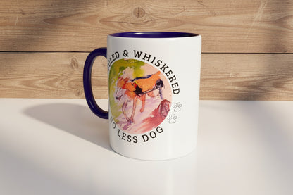 Rudra x ROAR 11Oz Color Coffee Mug