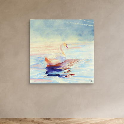 Light In Motion: Square Edit (US).